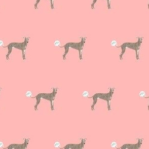 italian greyhound terrier funny fart dog breed fabric pink