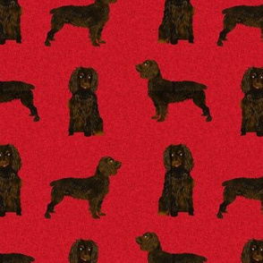 boykin spaniel pet quilt a dog nursery coordinate 