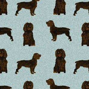 boykin spaniel pet quilt b  dog nursery coordinate 