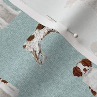 brittany spaniel pet quilt b  dog nursery coordinate 