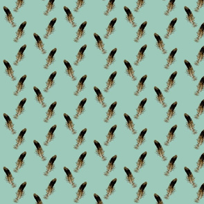 Small Bird Feathers Scattered - blue background