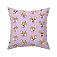 Corgi on light purple