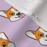 Corgi on light purple