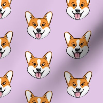 Corgi on light purple