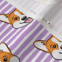 Corgi on purple stripes