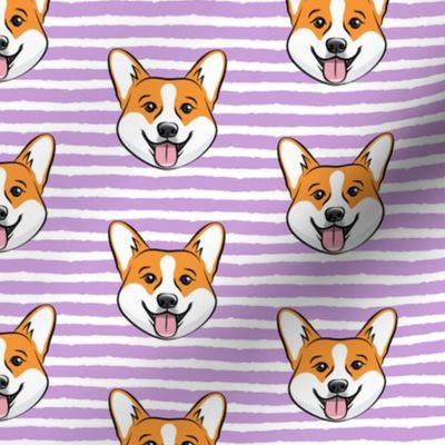 Corgi on purple stripes