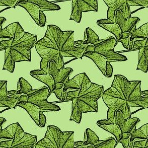 Ivy leaves green 8A cartoon