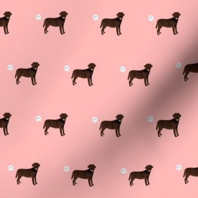 chocolate lab funny dog fart dog breed fabric pink