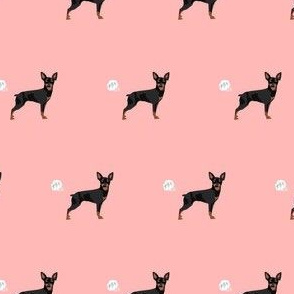 miniature pinscher funny dog fart dog breed fabric pink