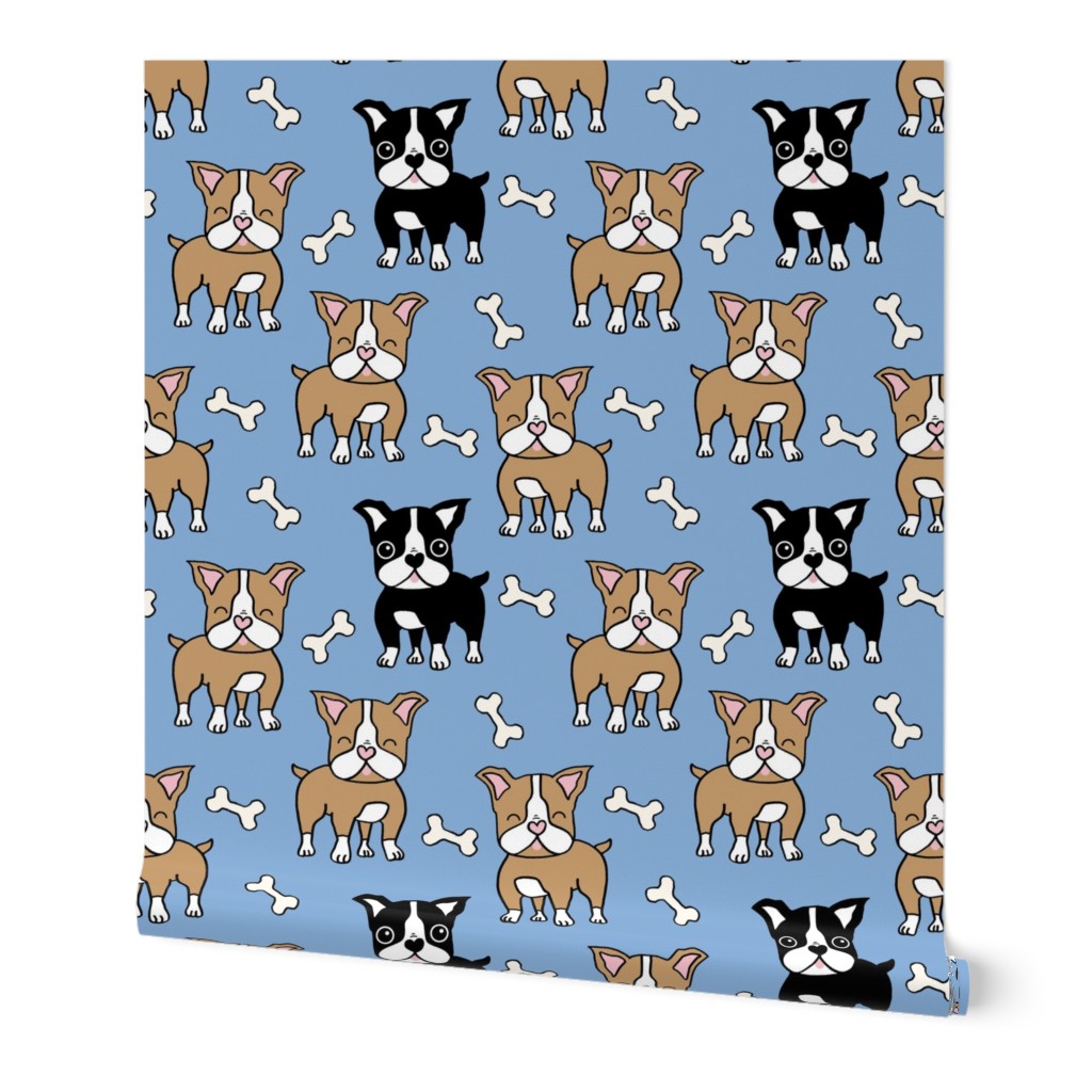 Boston Terrier brown and black on blue