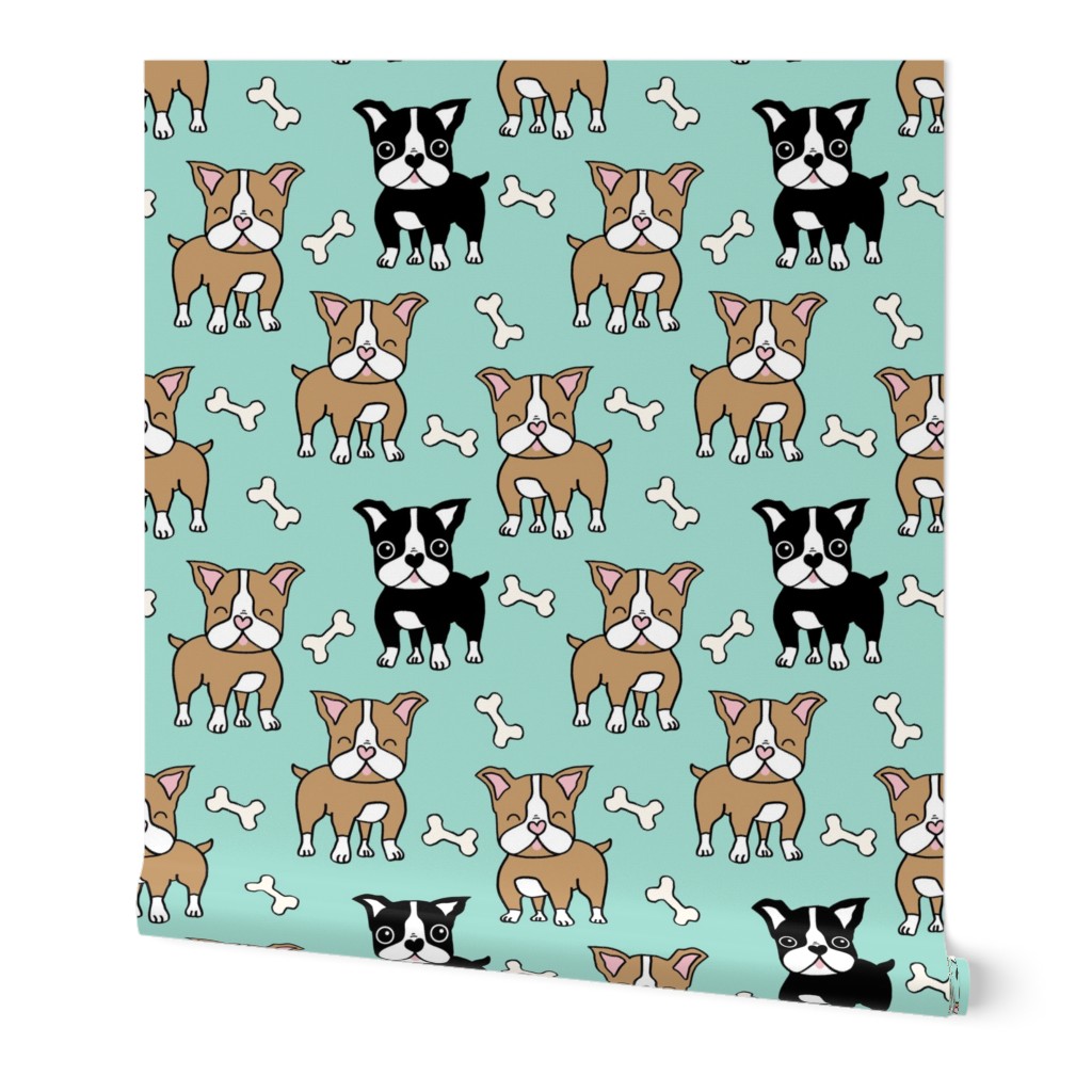 Boston Terrier brown and black on mint