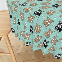 Boston Terrier brown and black on mint