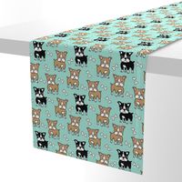 Boston Terrier brown and black on mint