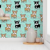 Boston Terrier brown and black on mint