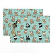 Boston Terrier brown and black on mint