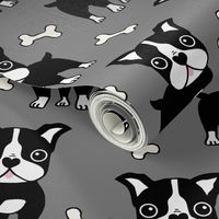 Boston Terrier black on grey