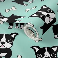 Boston Terrier black on mint