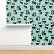 Boston Terrier black on mint