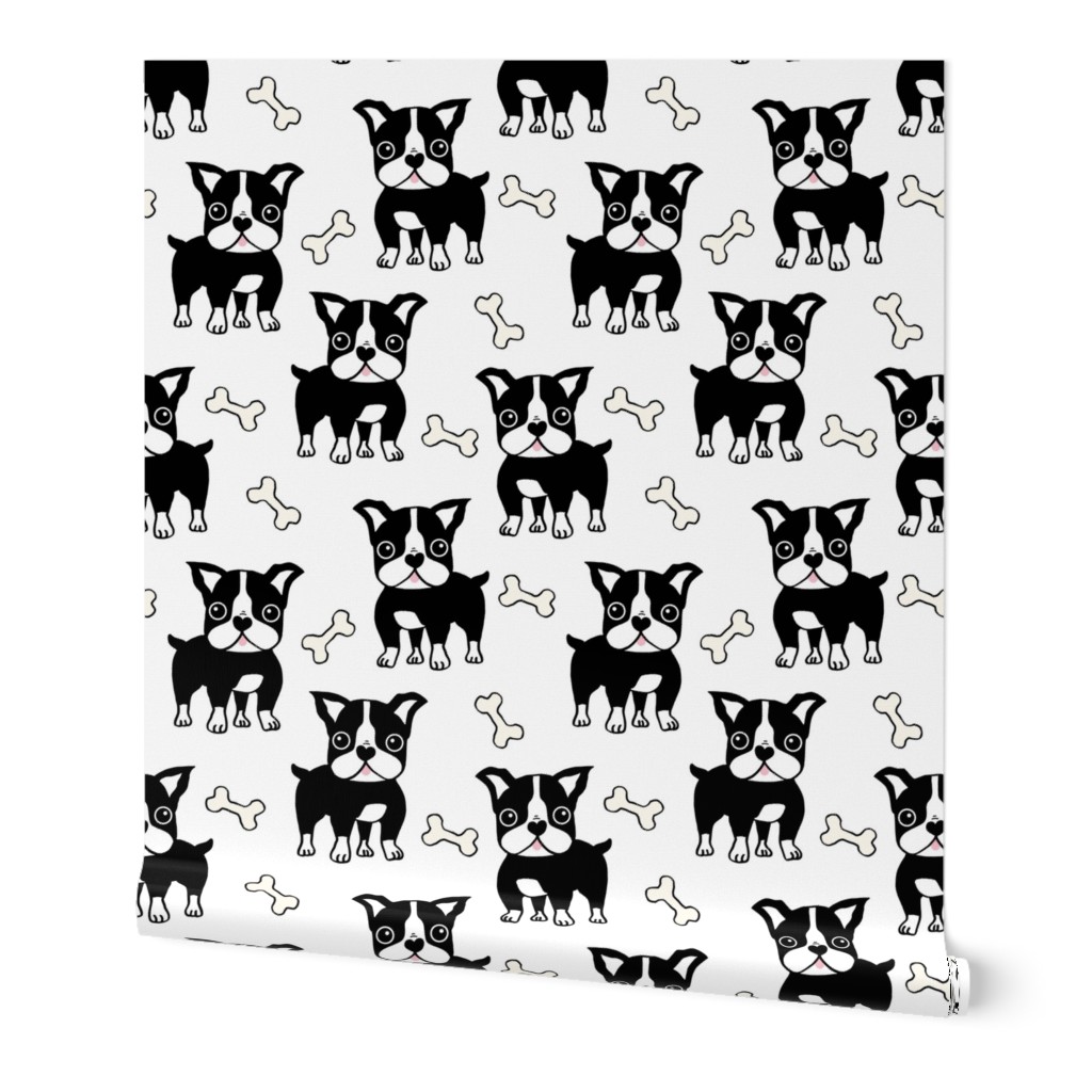 Boston Terrier black on white