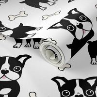 Boston Terrier black on white