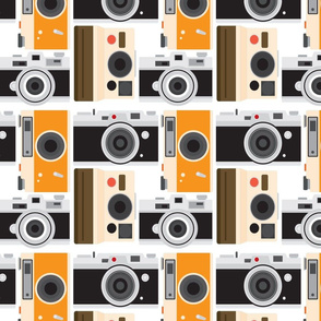 Vintage Cameras