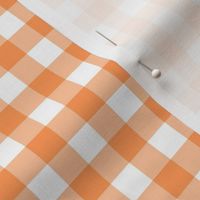 Orange & White Gingham