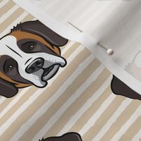 St Bernard - dog fabric on tan stripes