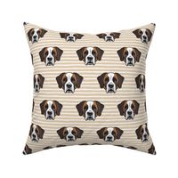 St Bernard - dog fabric on tan stripes