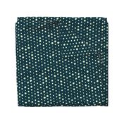 Going Dotty on Navy