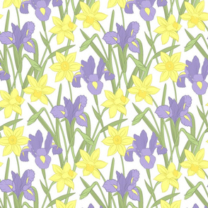 Iris and daffodils