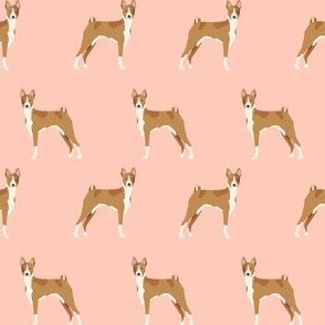 basenji standing pure breed dog fabric pink