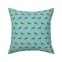 border terrier standing dog breed fabric blue