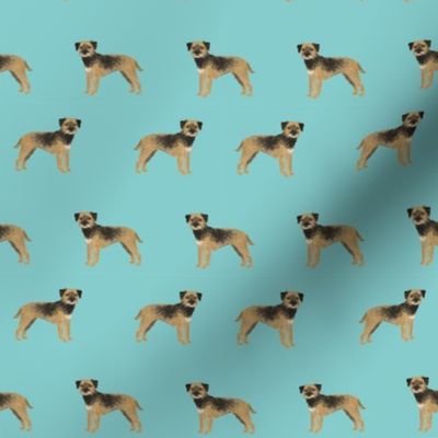 border terrier standing dog breed fabric blue