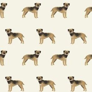 border terrier standing dog breed fabric 