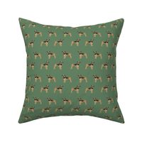 border terrier standing dog breed fabric green
