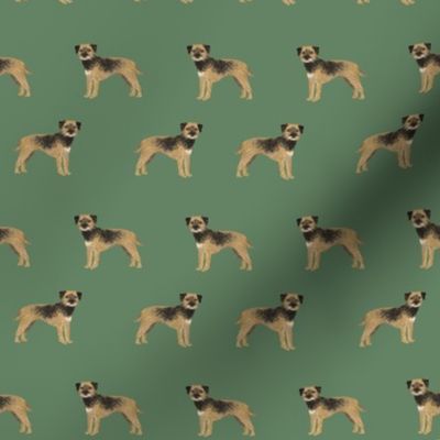 border terrier standing dog breed fabric green