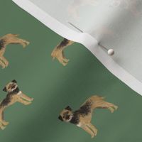 border terrier standing dog breed fabric green