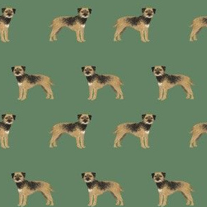 border terrier standing dog breed fabric green