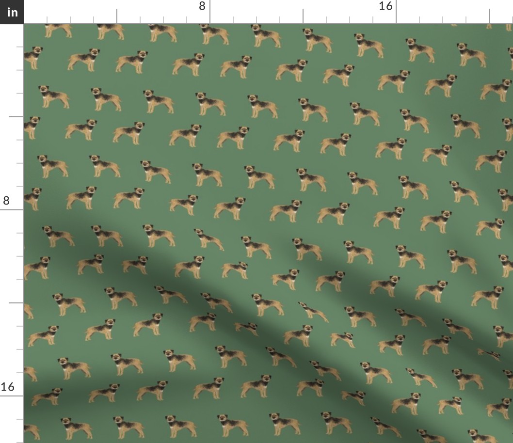 border terrier standing dog breed fabric green