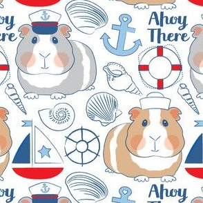 sailor guinea pigs