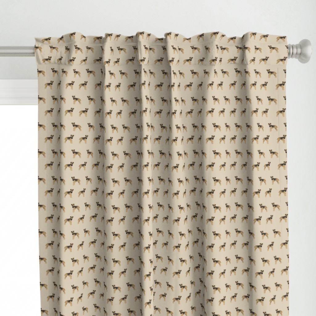 border terrier fabric - dog dogs, border terriers, tan