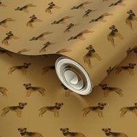 border terrier fabric - dog dogs, border terriers, tan