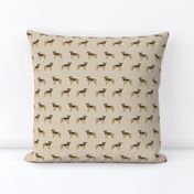 border terrier fabric - dog dogs, border terriers, tan