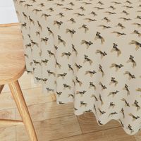 border terrier fabric - dog dogs, border terriers, tan