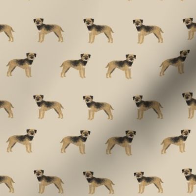 border terrier fabric - dog dogs, border terriers, tan