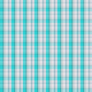 F-Turquoise Plaid