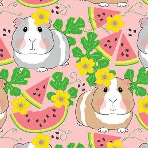 guinea-pigs-in-a-watermelon-patch on pink