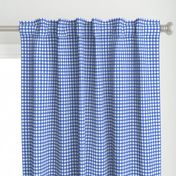 Watercolor Gingham Blue