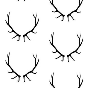 Elk Antlers // Large