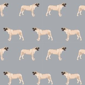 english mastiff dog breed pet fabric standing grey